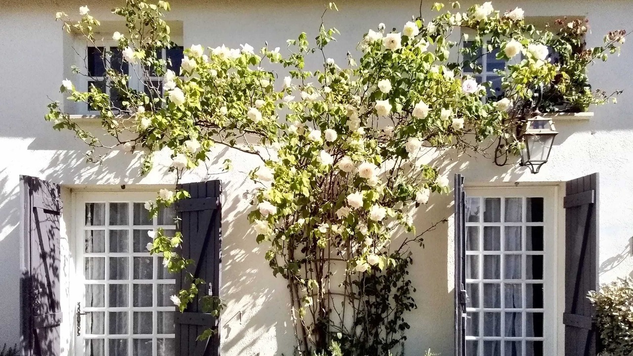 Photo of Others in Arsac