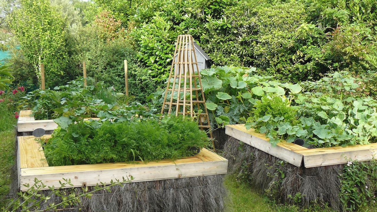 Photo of Outdoor in Arsac