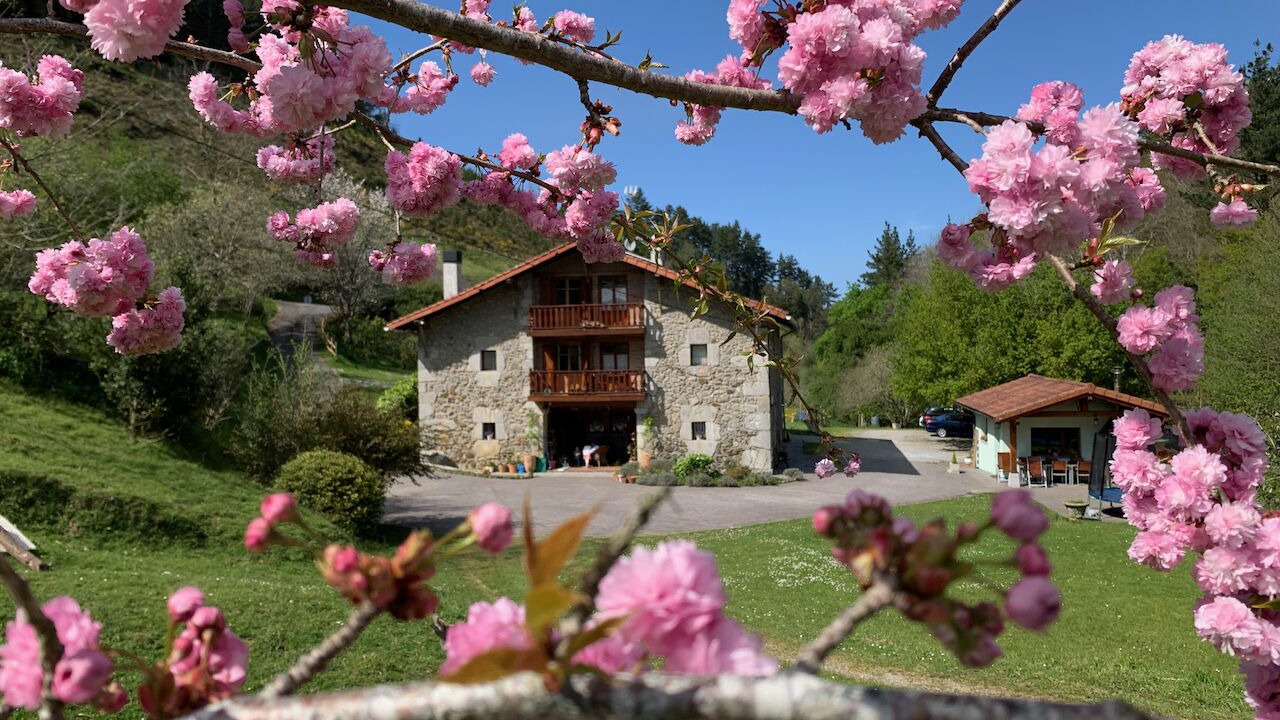 Photo of Outdoor in Gautegiz Arteaga