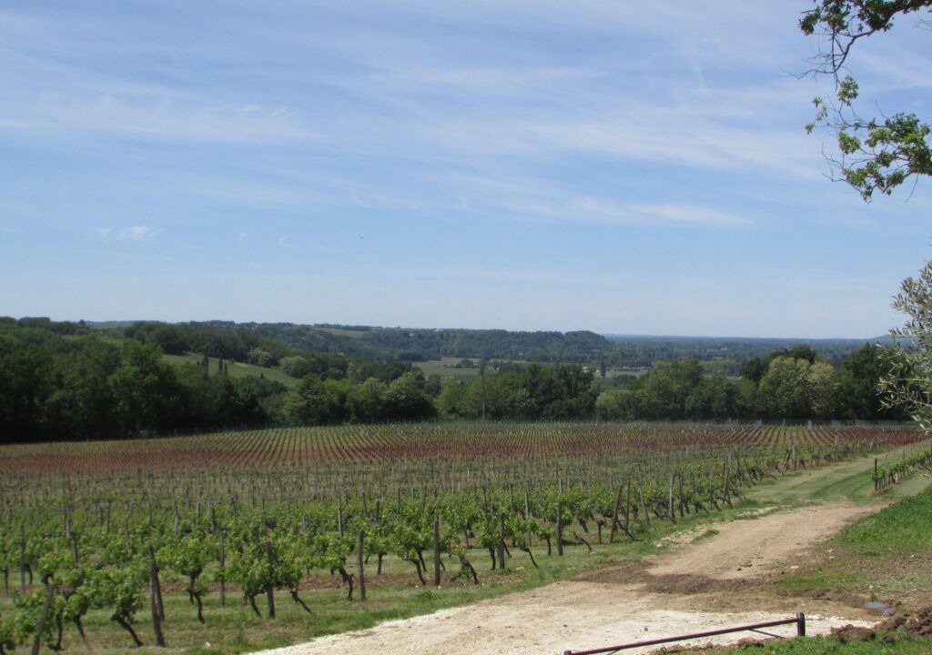 Photo of Outdoor in Eynesse