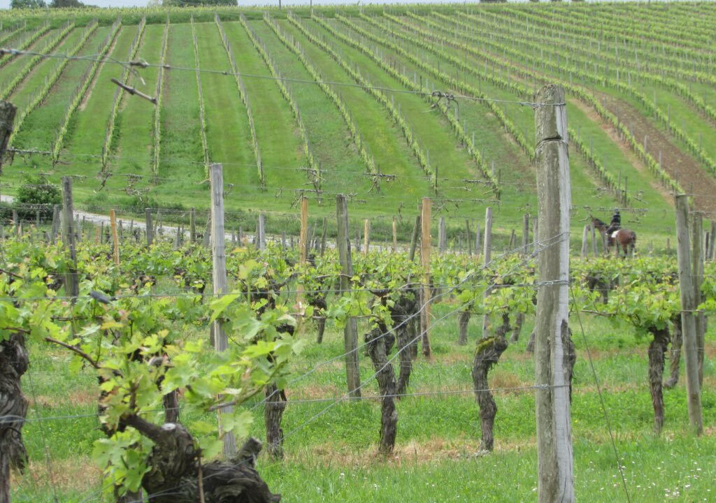 Photo of Outdoor in Eynesse