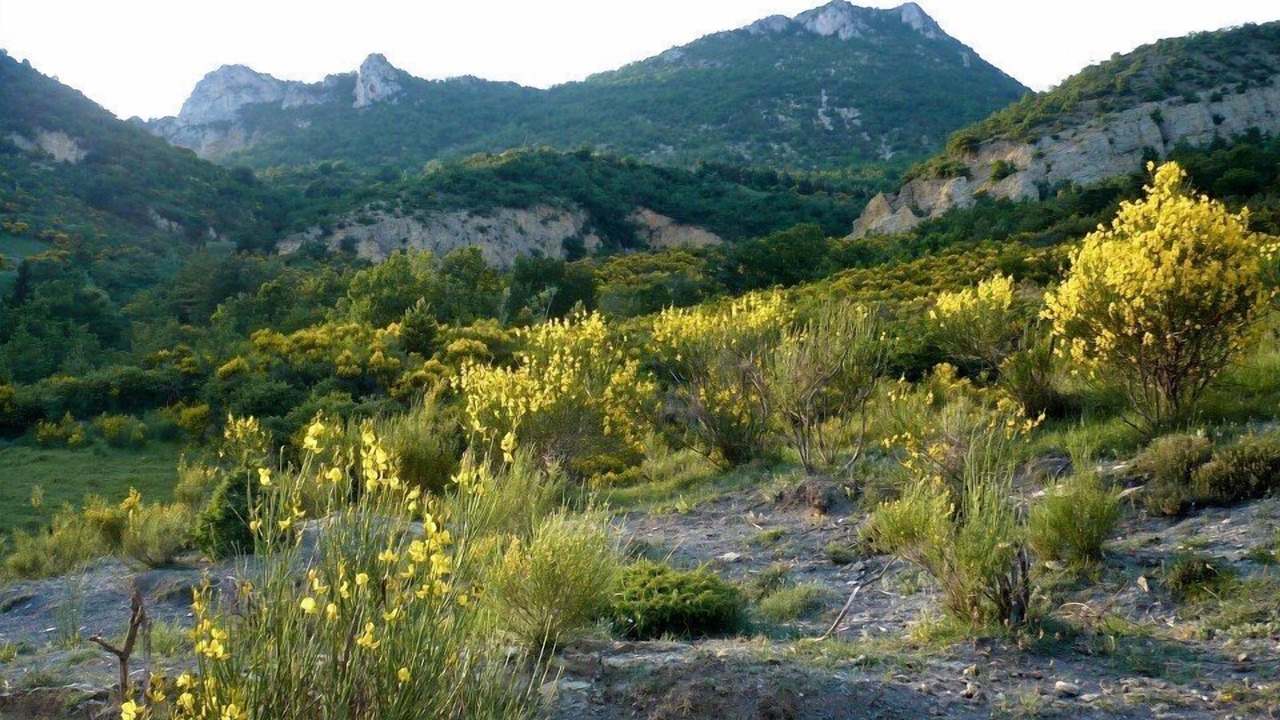 Photo of Outdoor in Saint-Ferreol-Trente-Pas