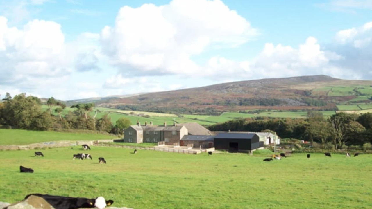 Photo of Others in Lancaster