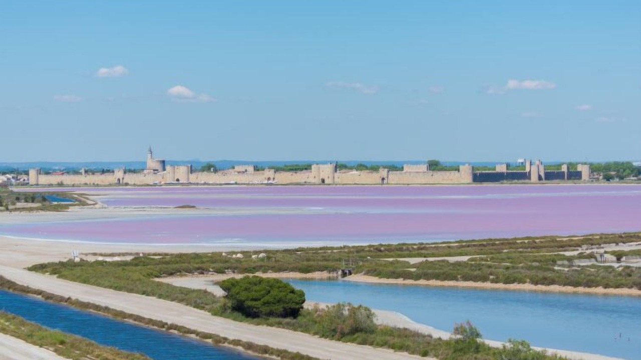 Photo of Others in Aigues-Mortes