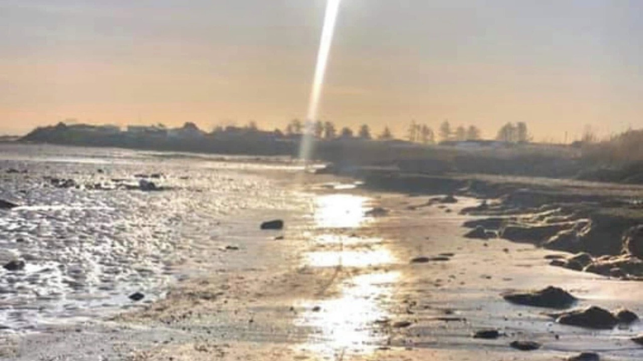 Photo of Others in Dumfries