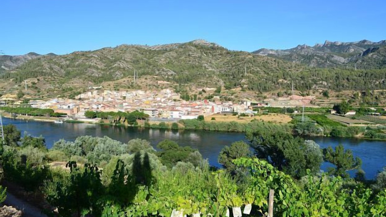Photo of Others in Benifallet