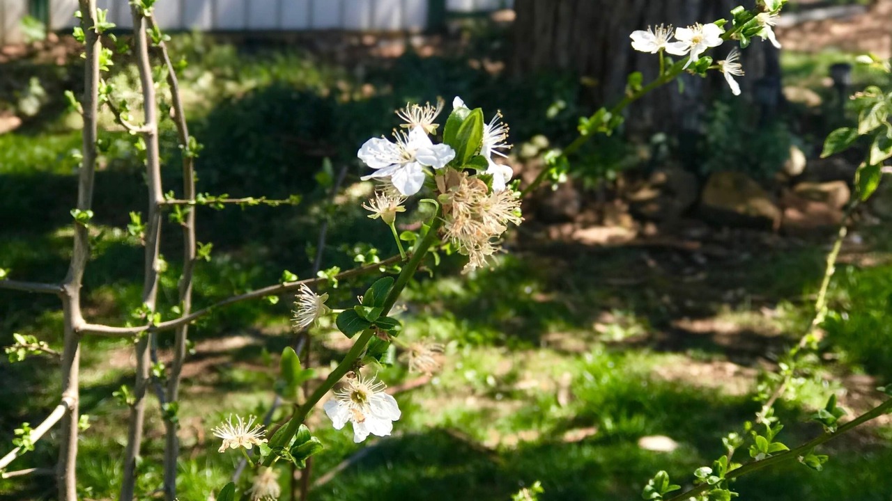 Photo of Outdoor in Oberon