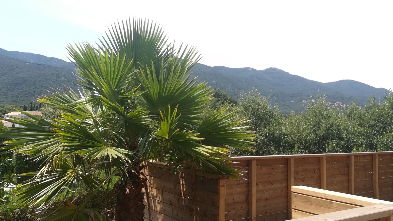 Photo of Outdoor in Laroque-des-Alberes