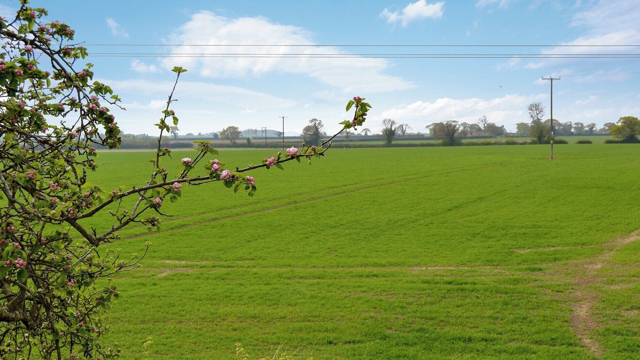 Photo of Others in Stalham