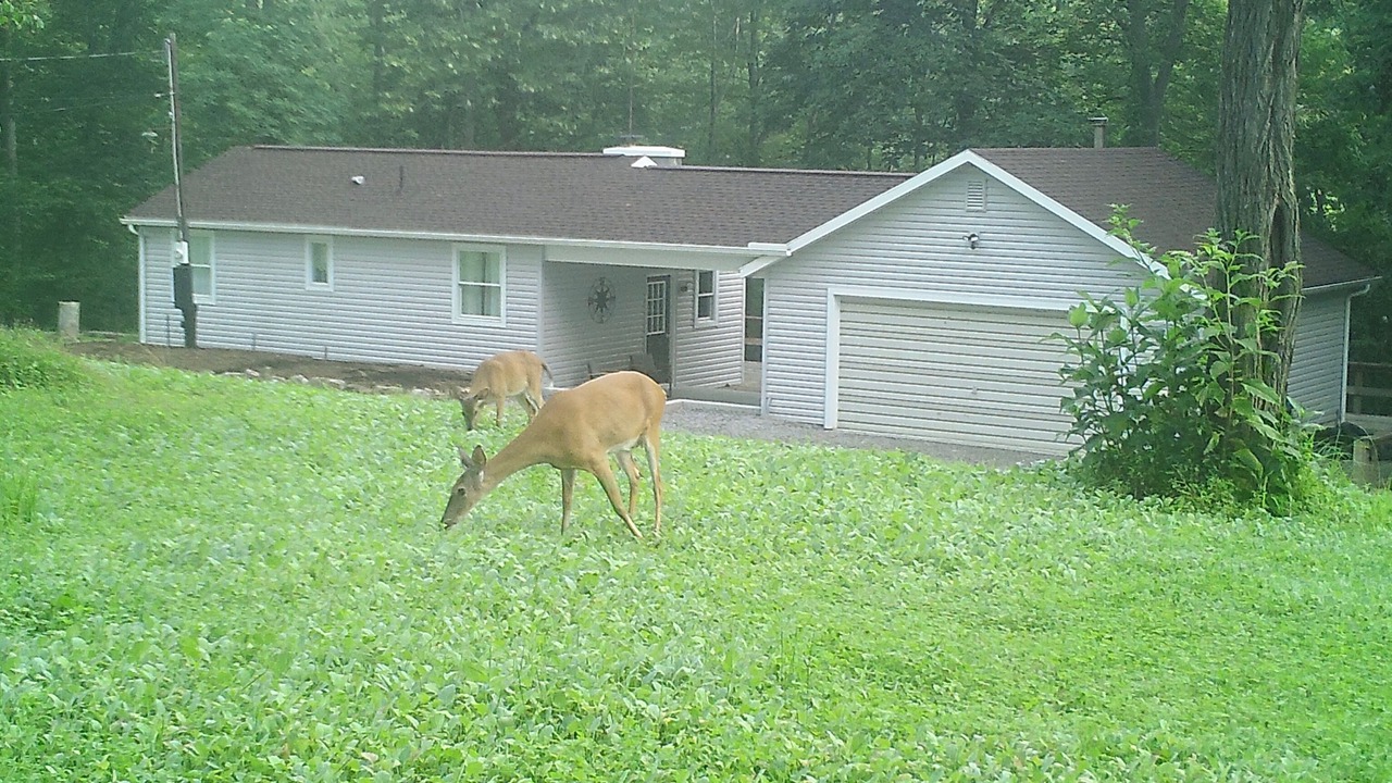 Photo of Others in Carlisle