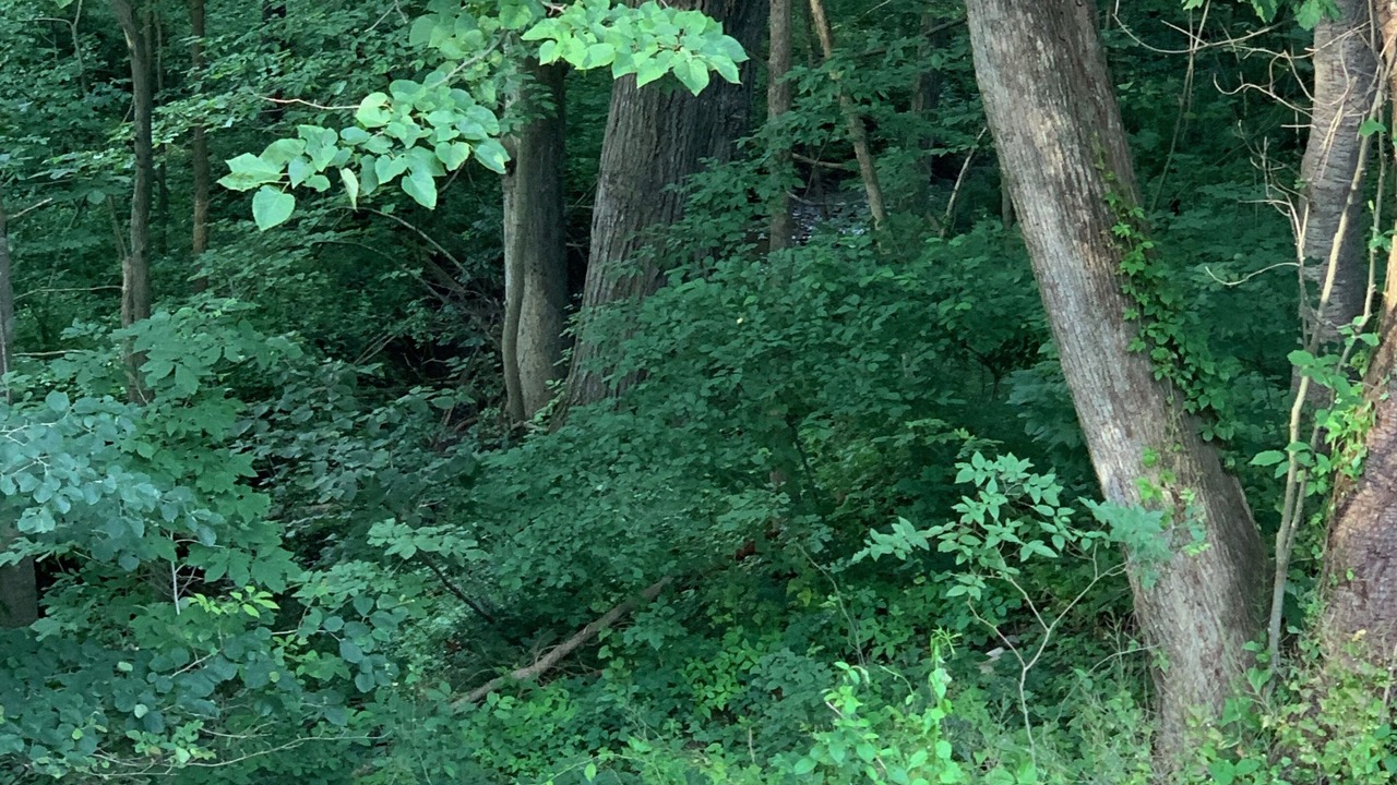 Photo of Outdoor in Carlisle