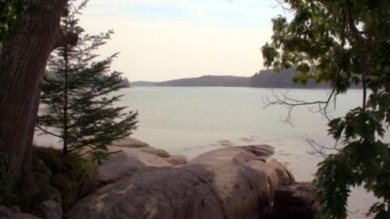 Photo of Others in Deer Isle