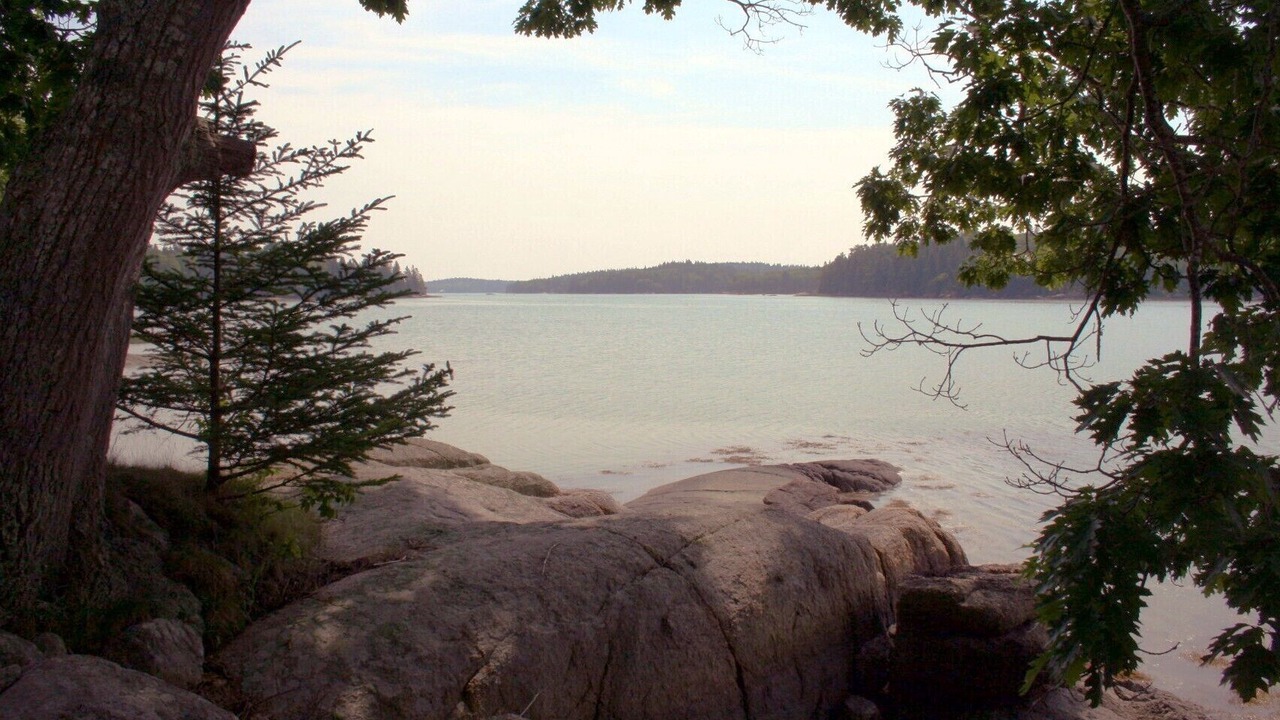 Photo of Others in Deer Isle