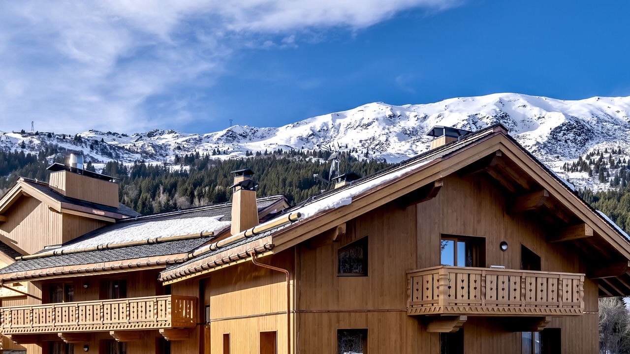 Photo of Others in Meribel Centre