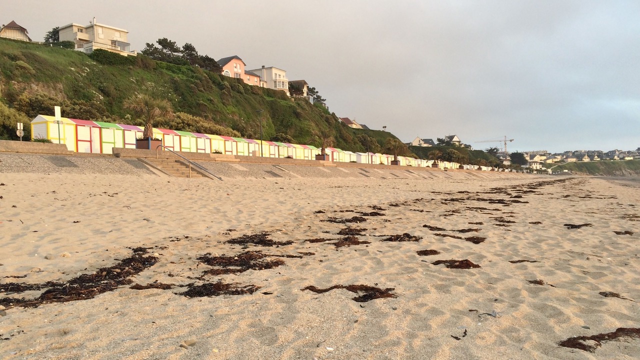 Photo of Others in Donville-les-Bains