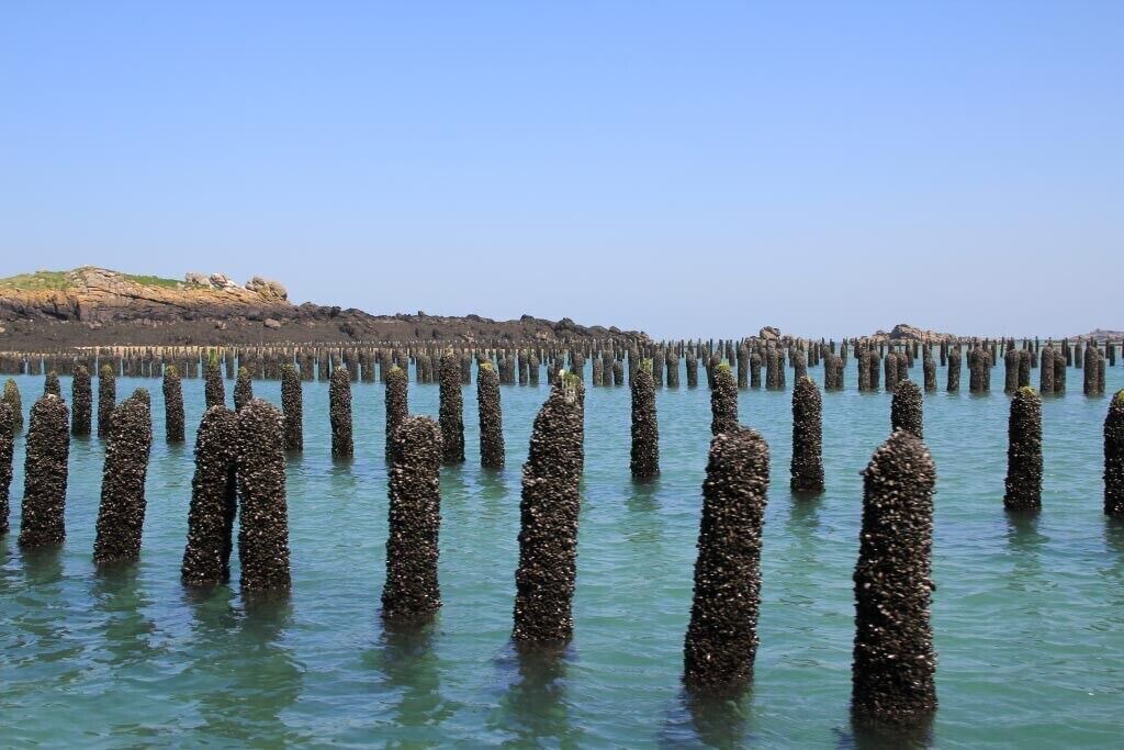 Photo of Others in Donville-les-Bains