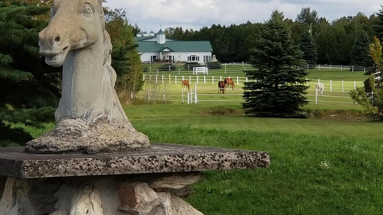 Photo of Outdoor in Sturgeon Bay