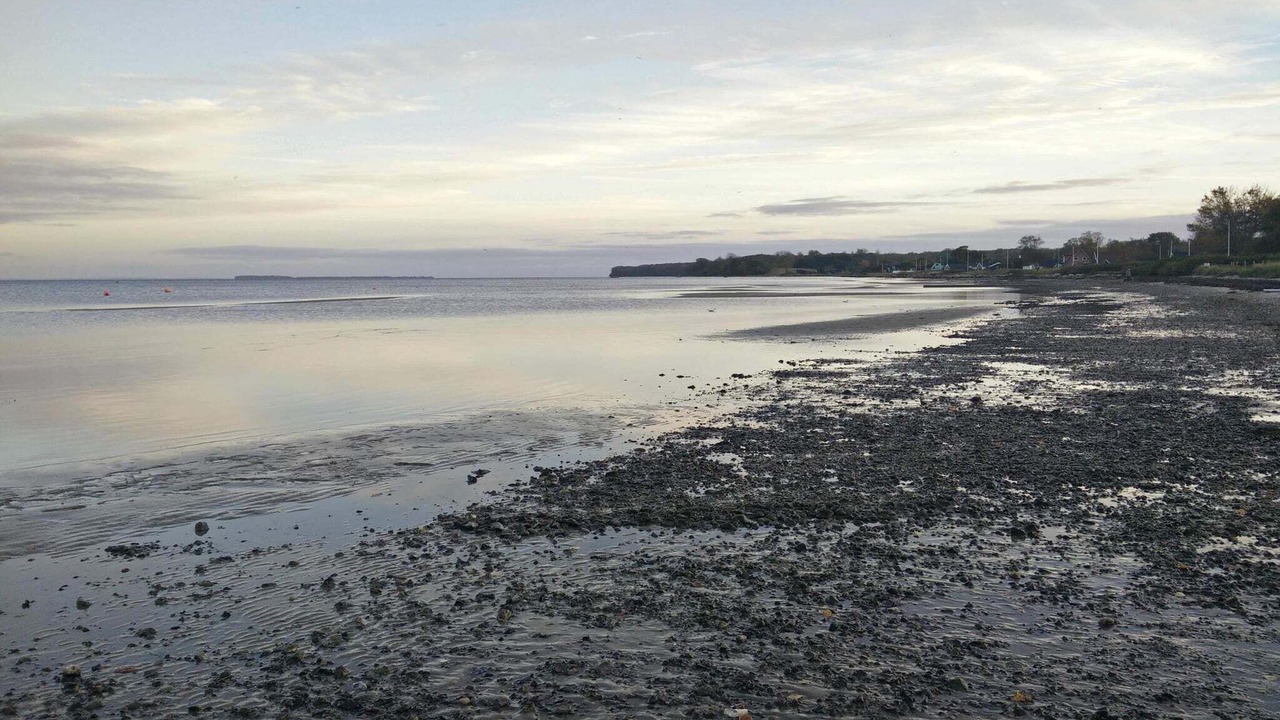 Photo of Others in Grønninghoved Strand