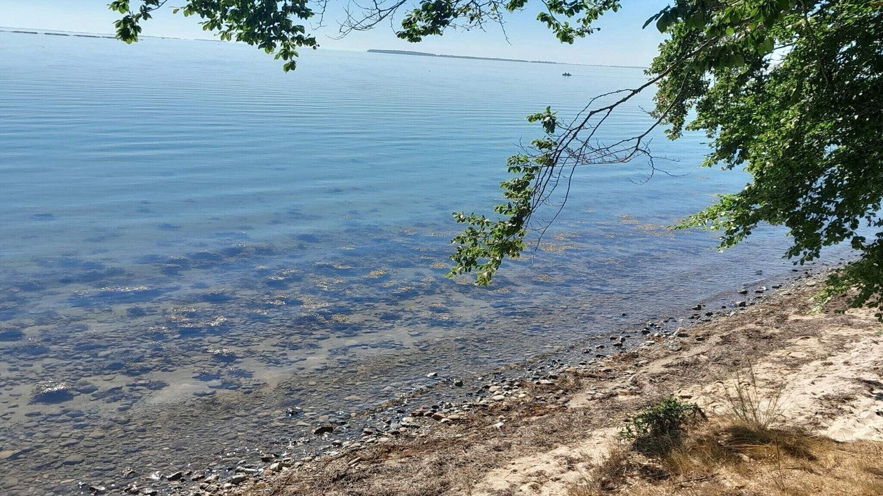 Photo of Others in Grønninghoved Strand