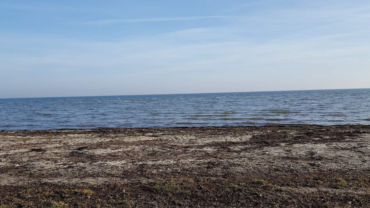 Photo of Others in Grønninghoved Strand