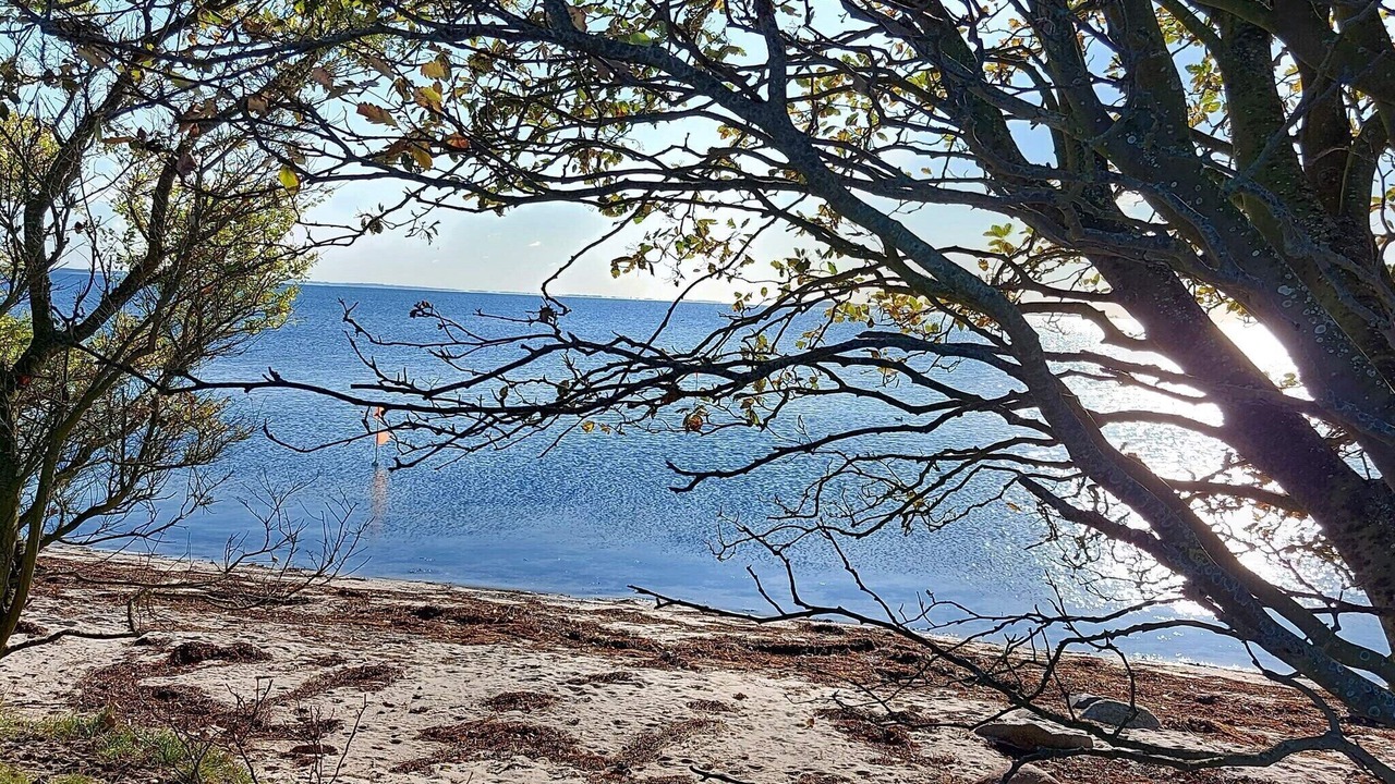 Photo of Others in Grønninghoved Strand
