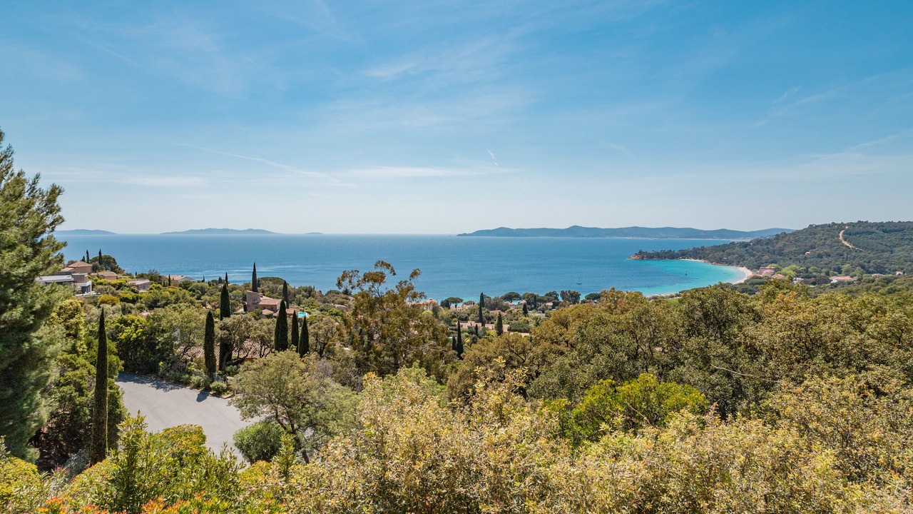 Photo of Others in Cavaliere