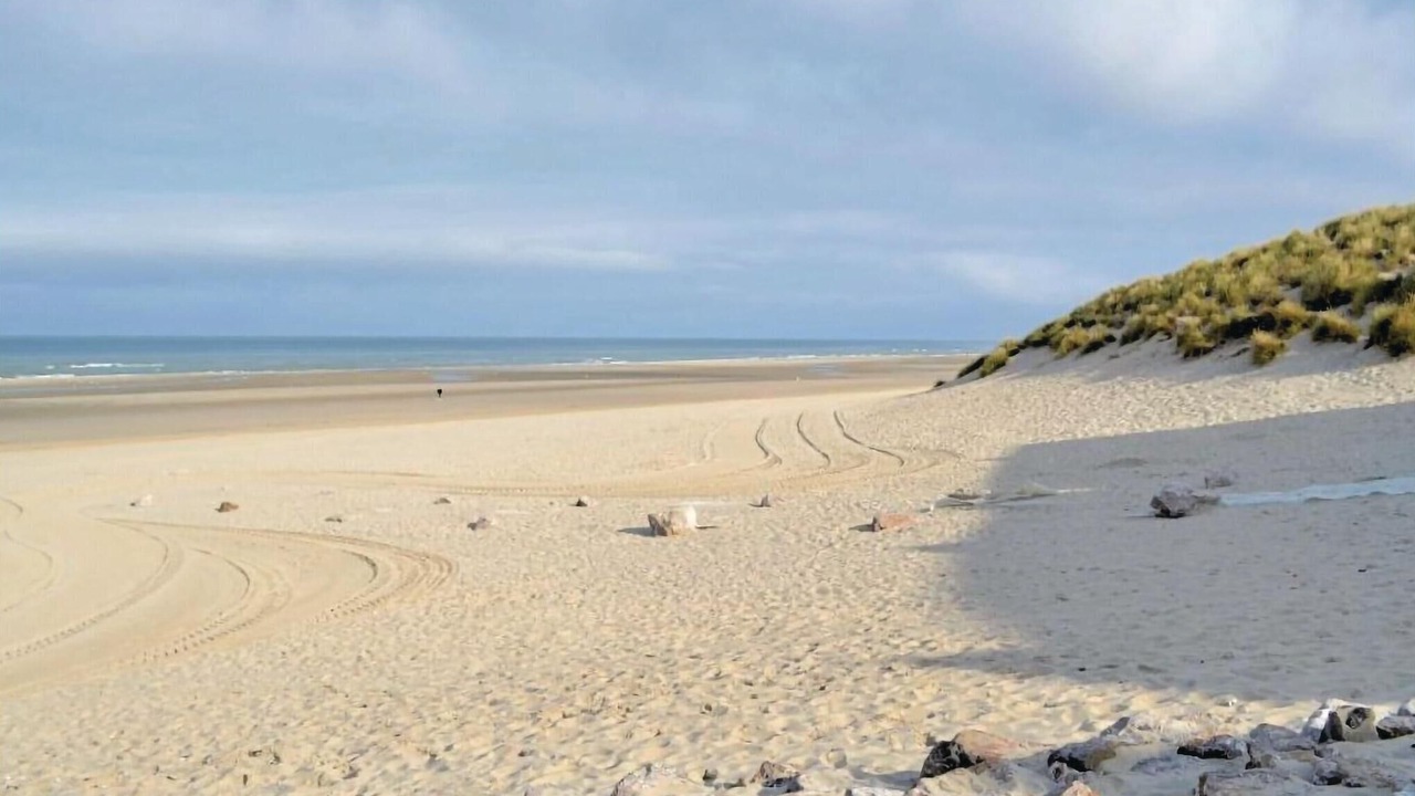 Photo of Others in Alette