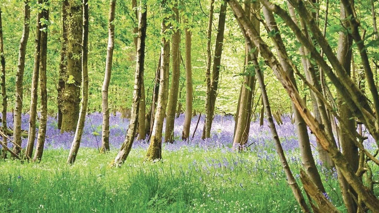 Photo of Others in Grigny