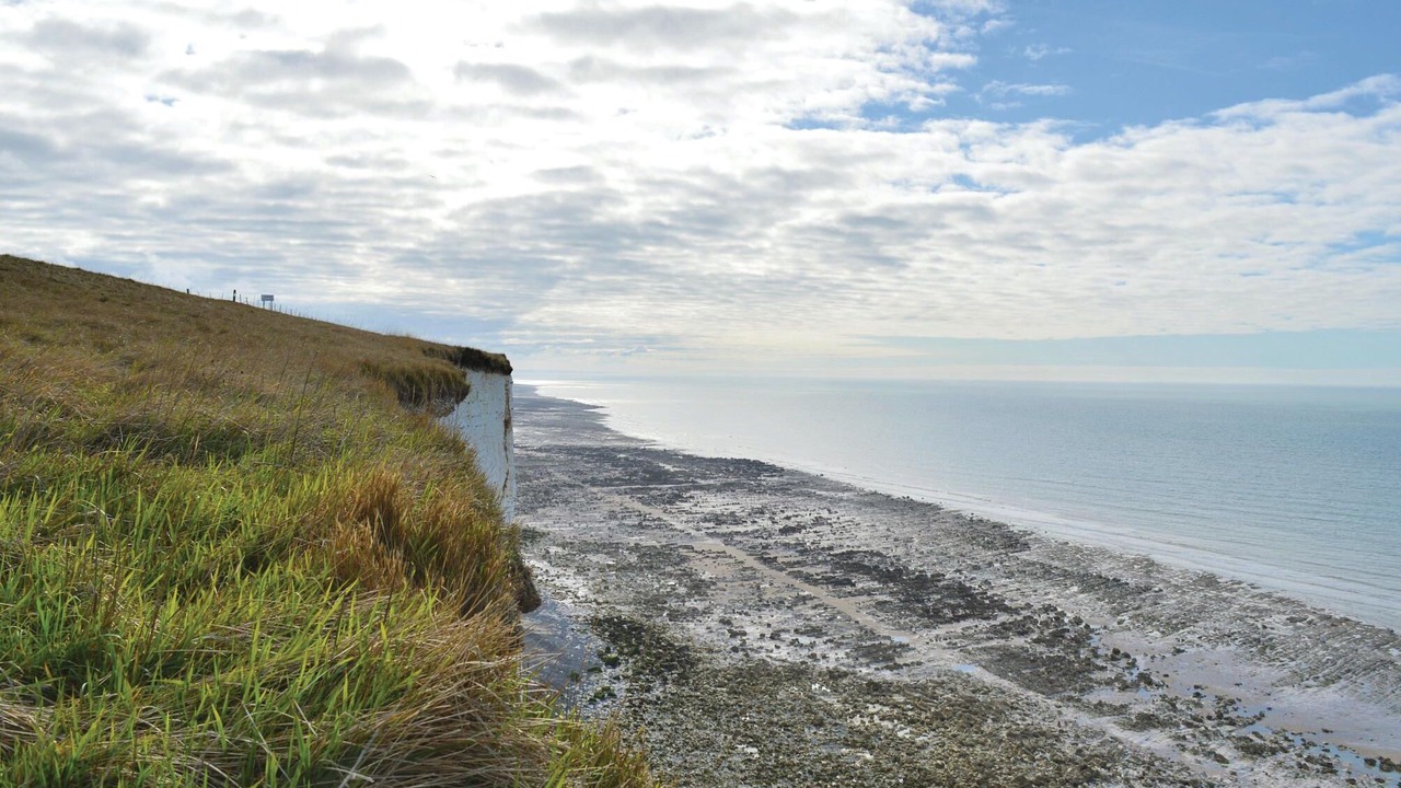 Photo of Others in Grigny