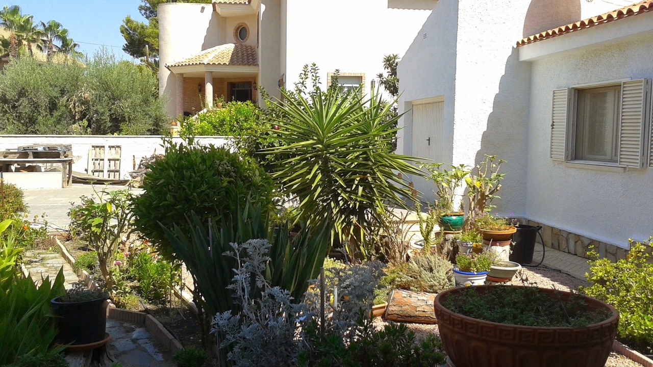 Photo of Outdoor in Los Balcones