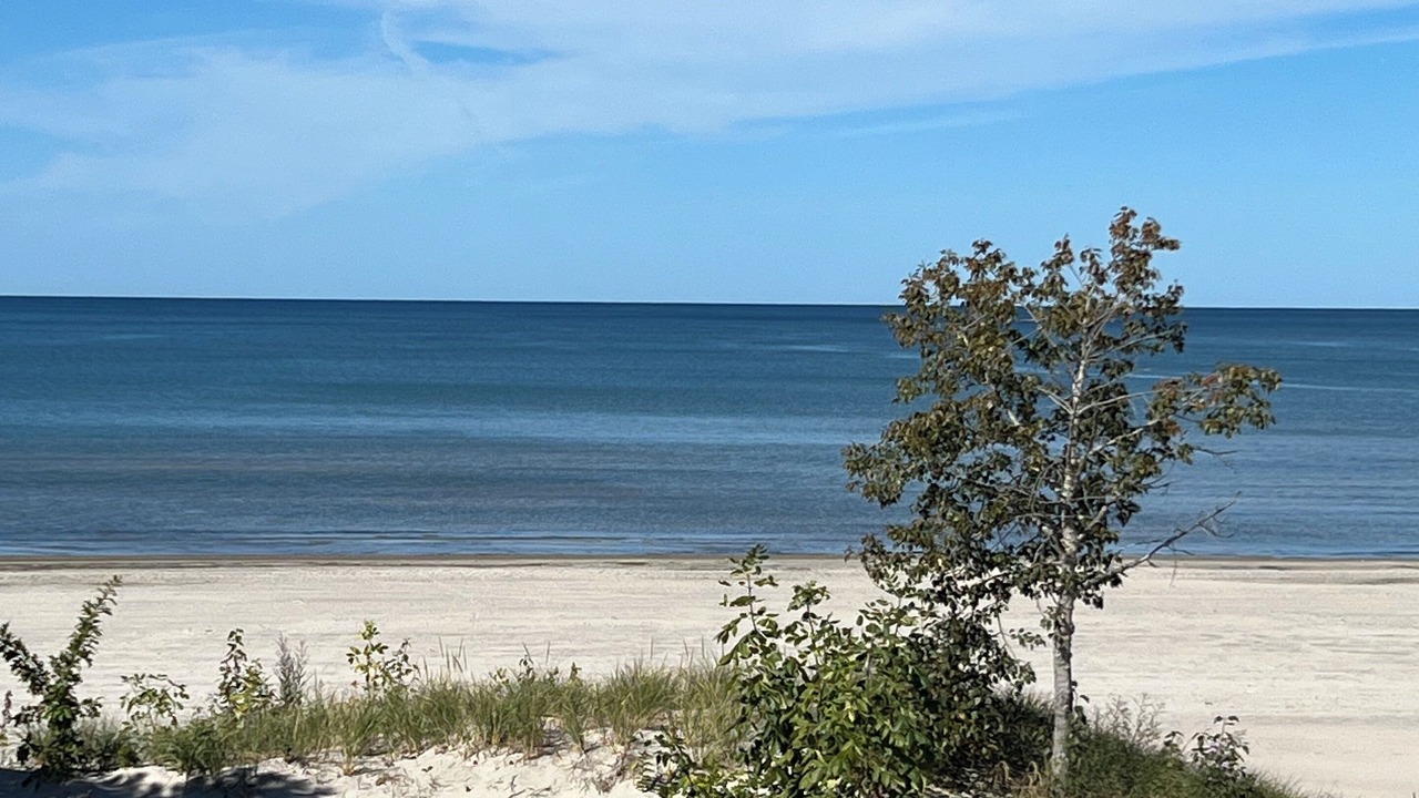 Photo of Others in Wasaga Beach