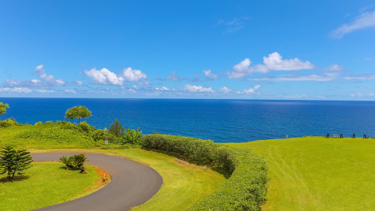 Photo of Others in Princeville