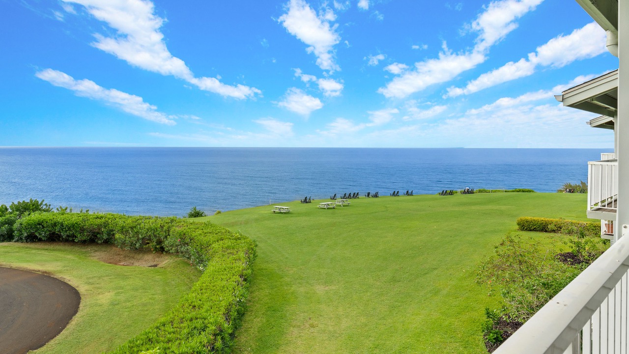 Photo of Others in Princeville