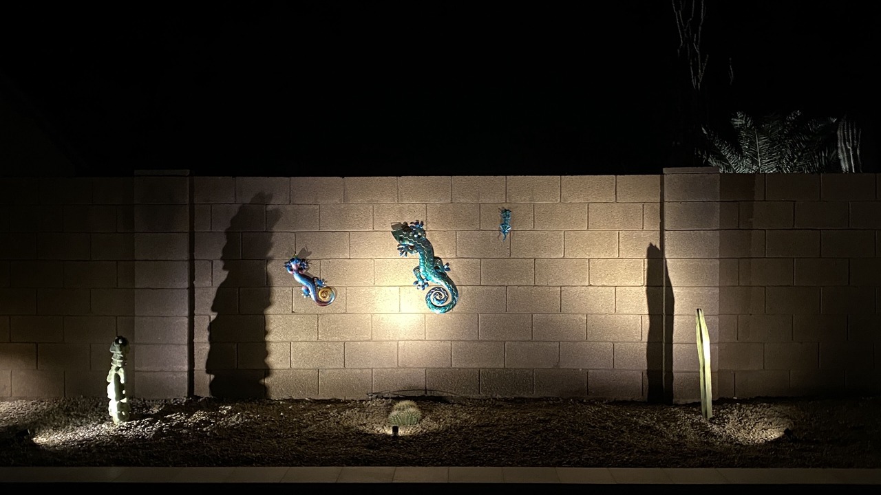 Photo of Others in San Tan Valley