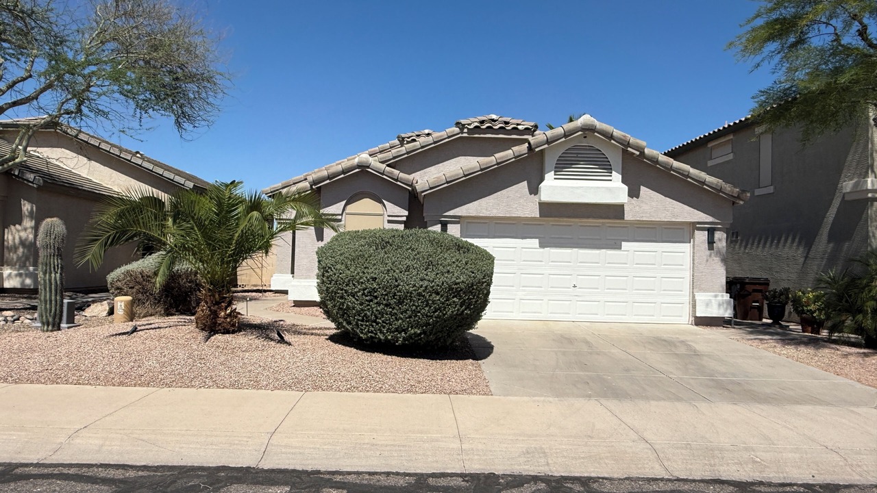 Photo of Outdoor in San Tan Valley