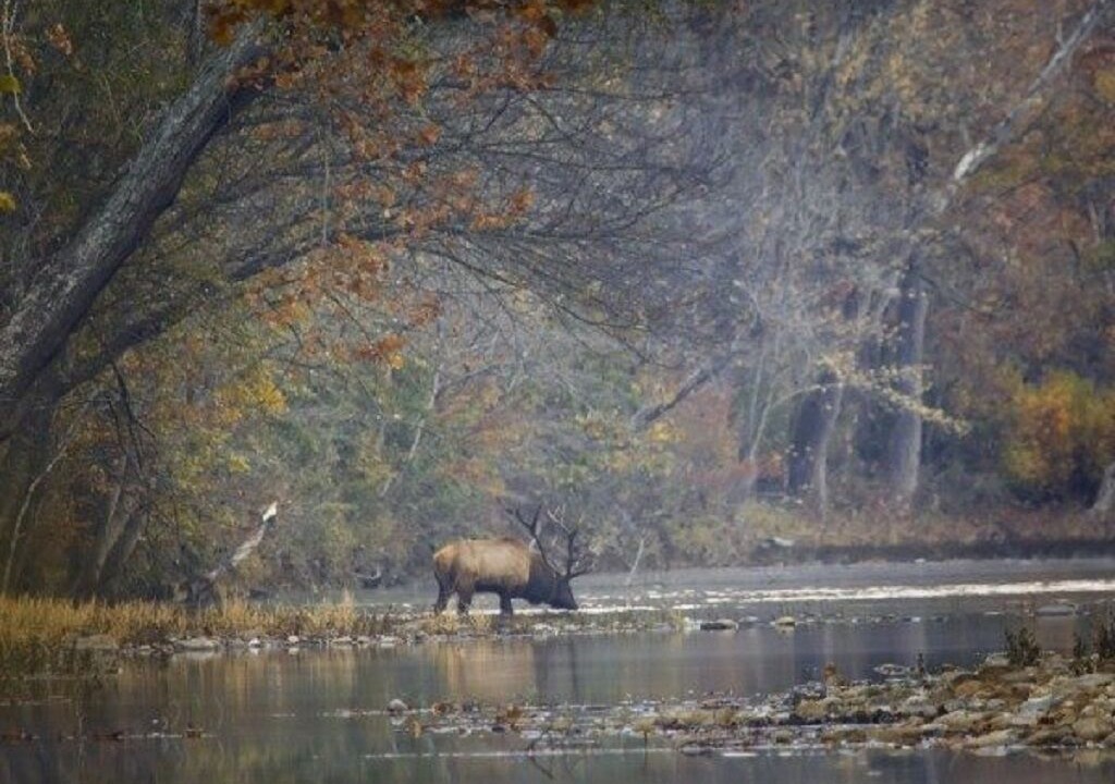 Photo of Others in Saint Joe