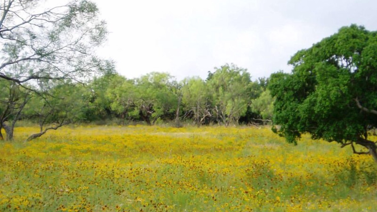 Photo of Others in Llano