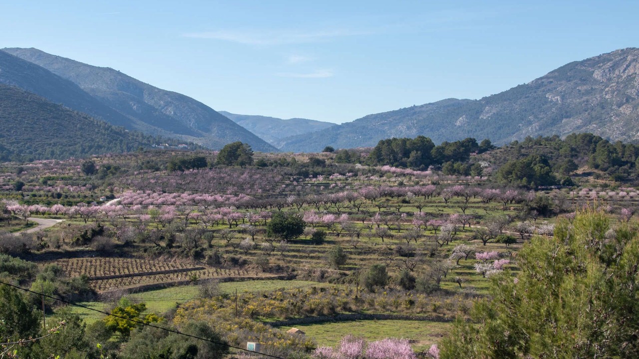 Photo of Outdoor in Benigembla