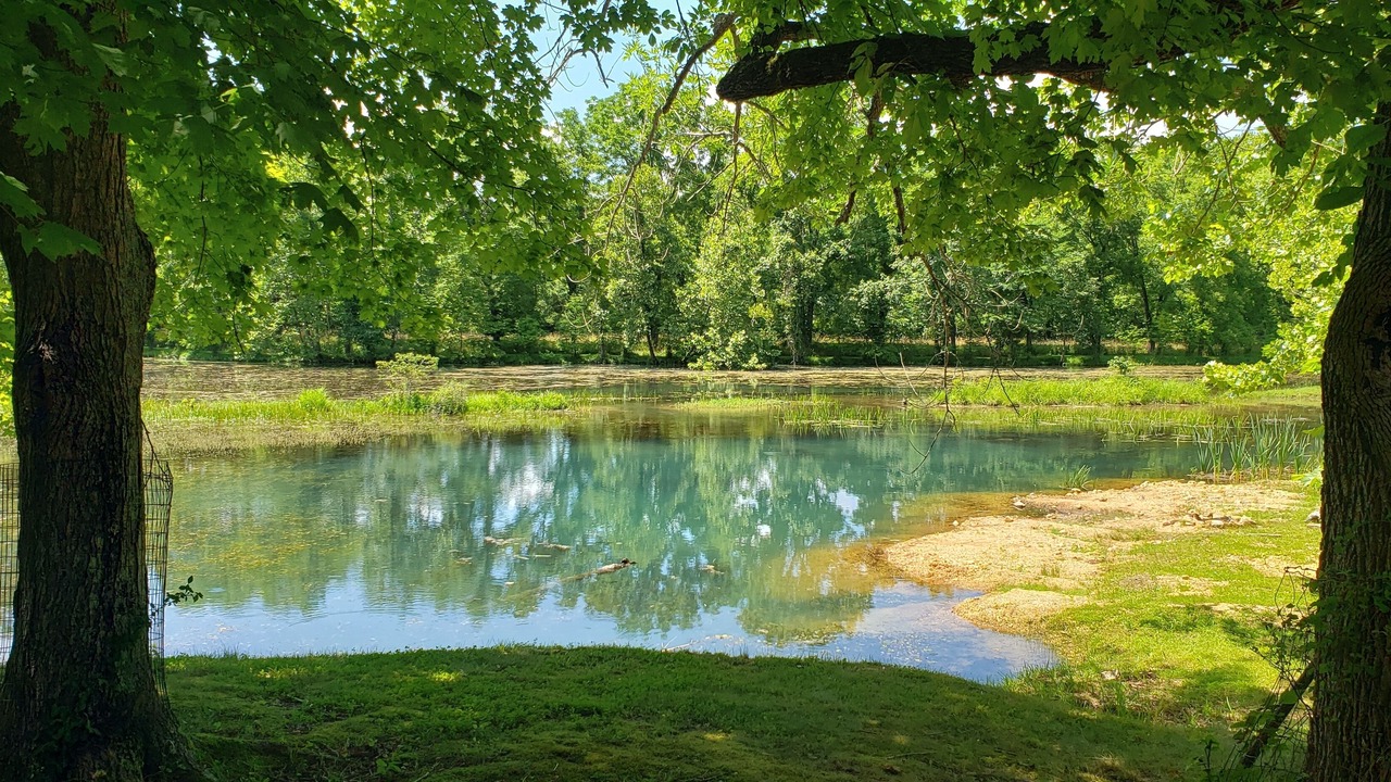 Photo of Outdoor in Salem