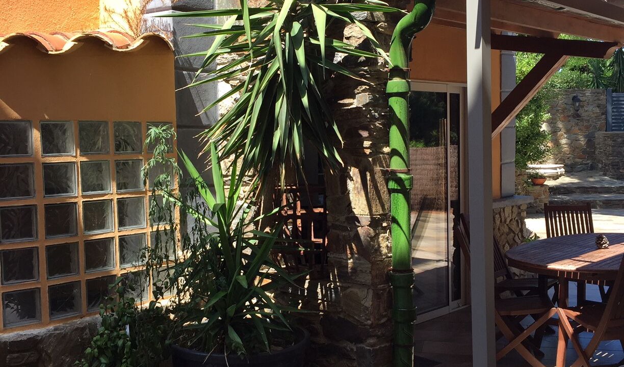 Photo of Outdoor in Plage d'Argeles