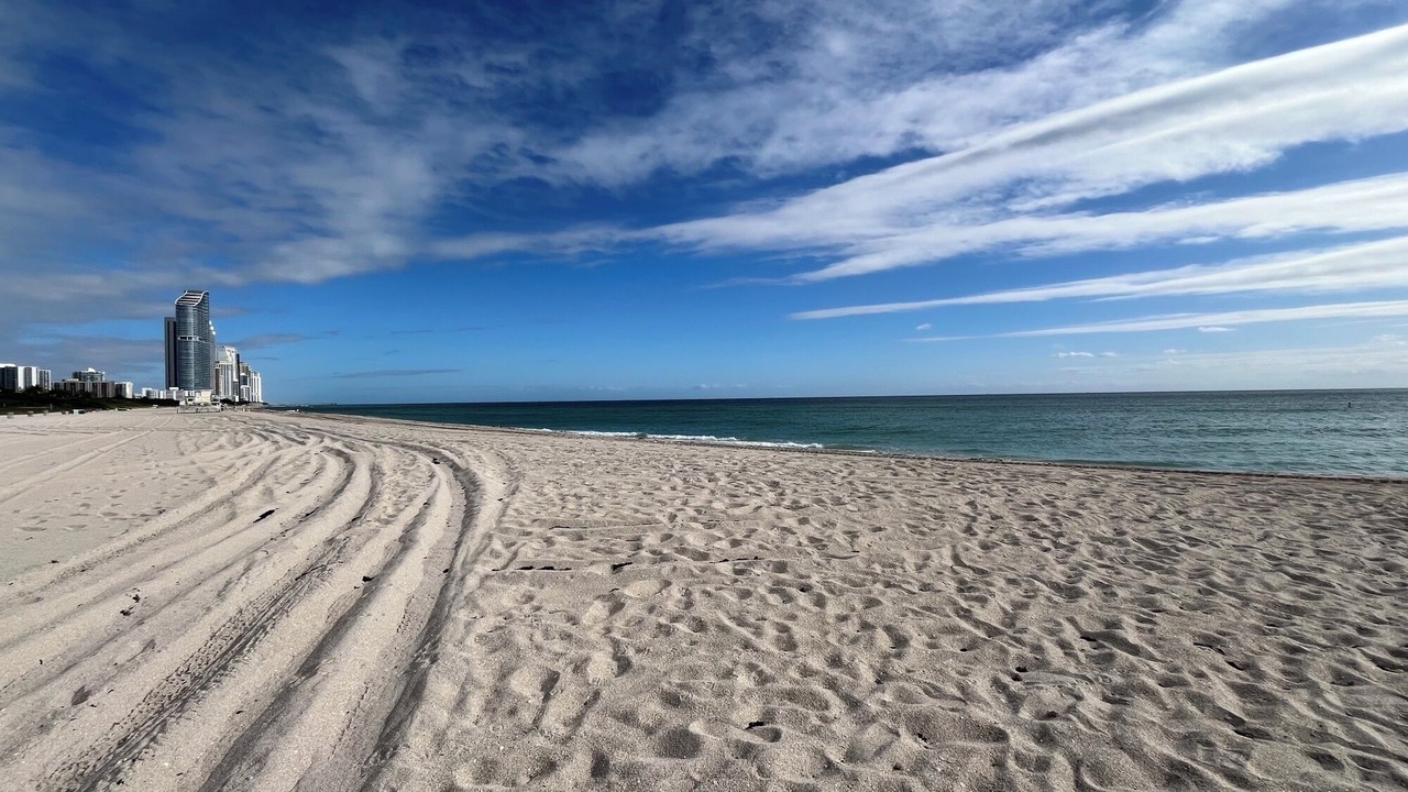 Photo of Others in Sunny Isles Beach