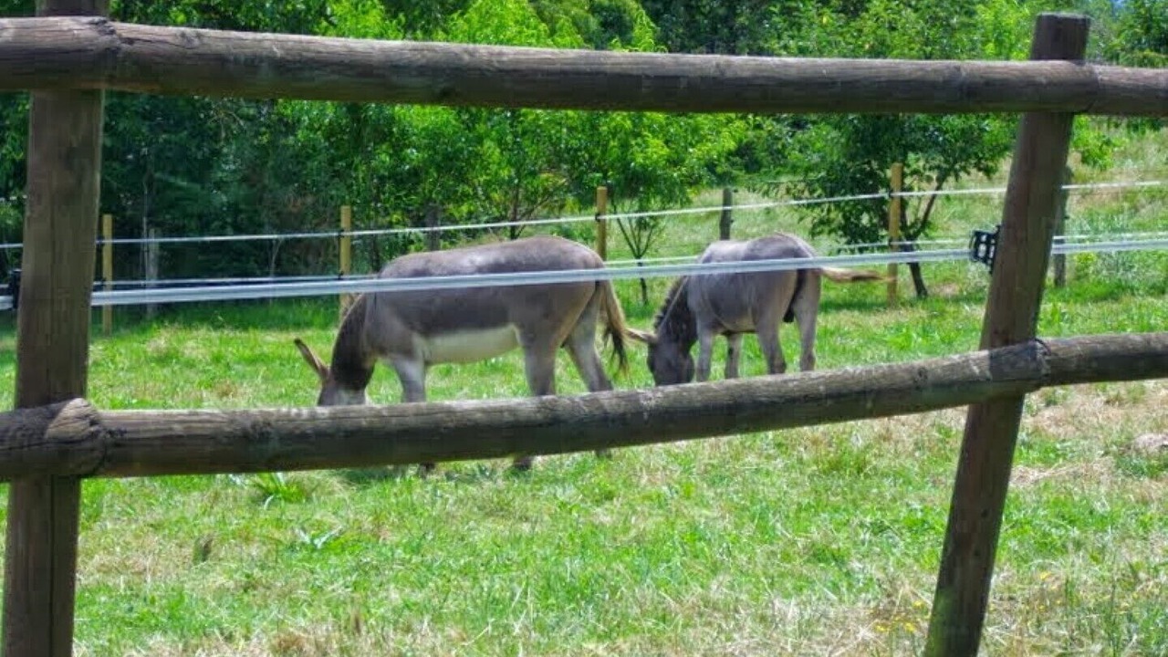 Photo of Outdoor in Le Segur