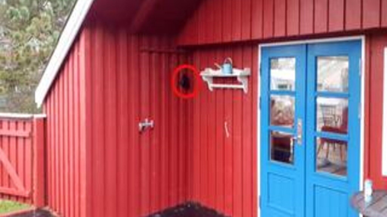 Photo of Others in Vorupør