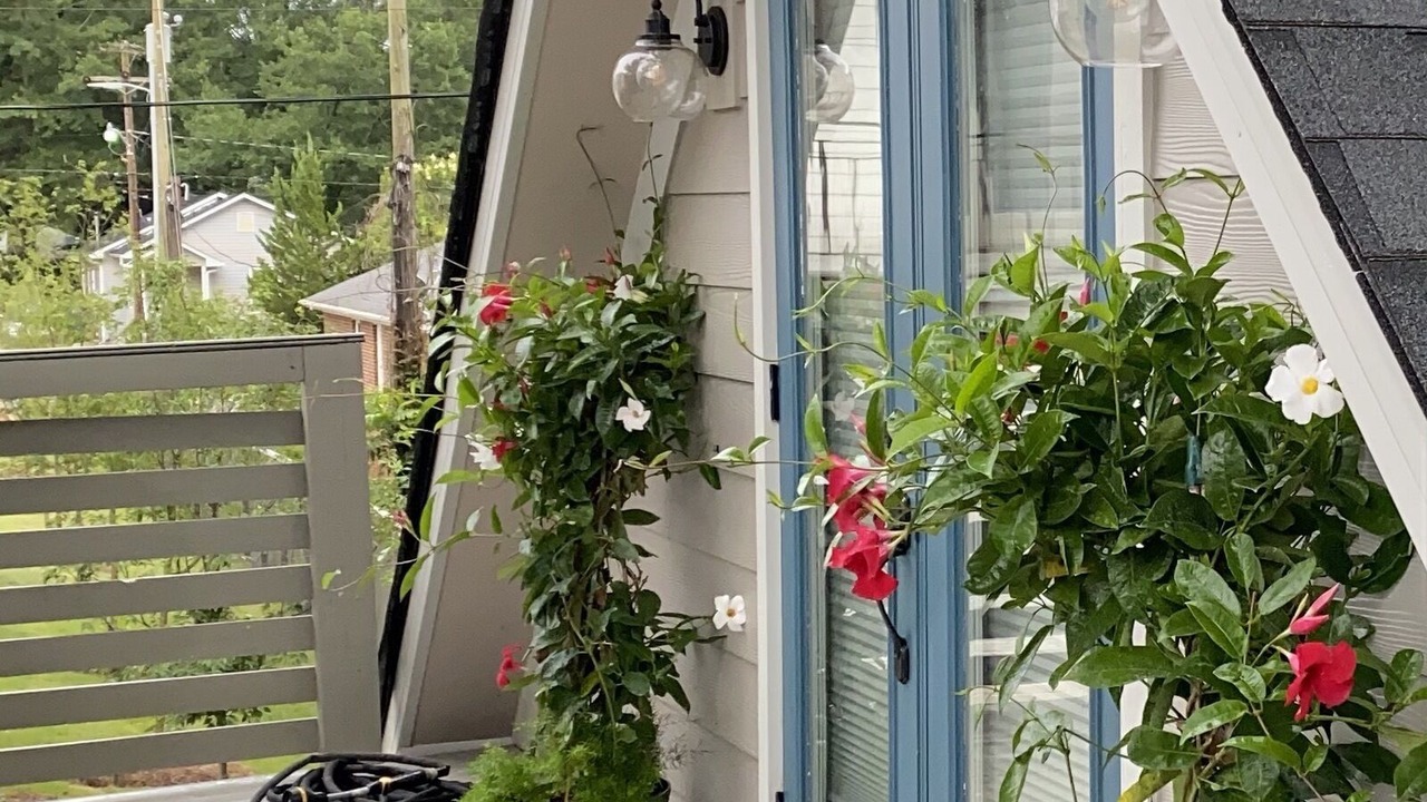 Photo of Outdoor in Greenville