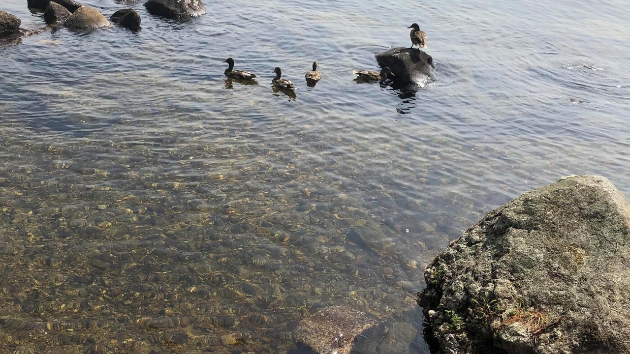 Photo of Others in Standish