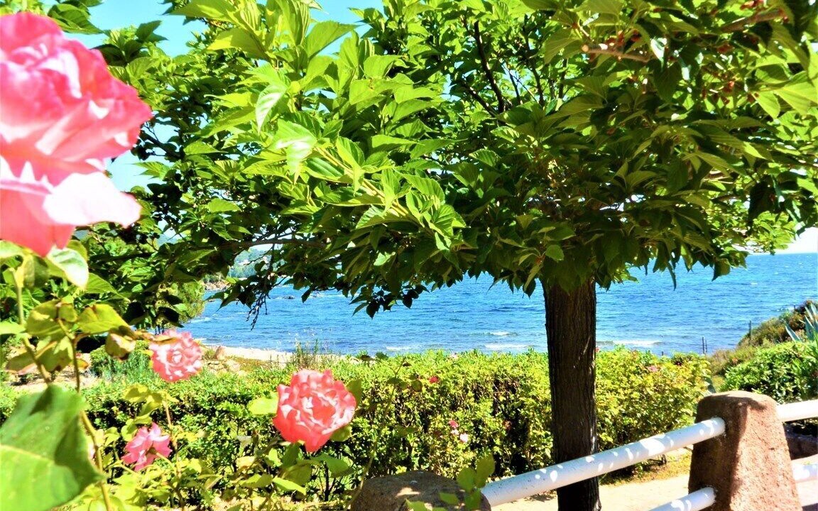 Photo of Outdoor in Favone