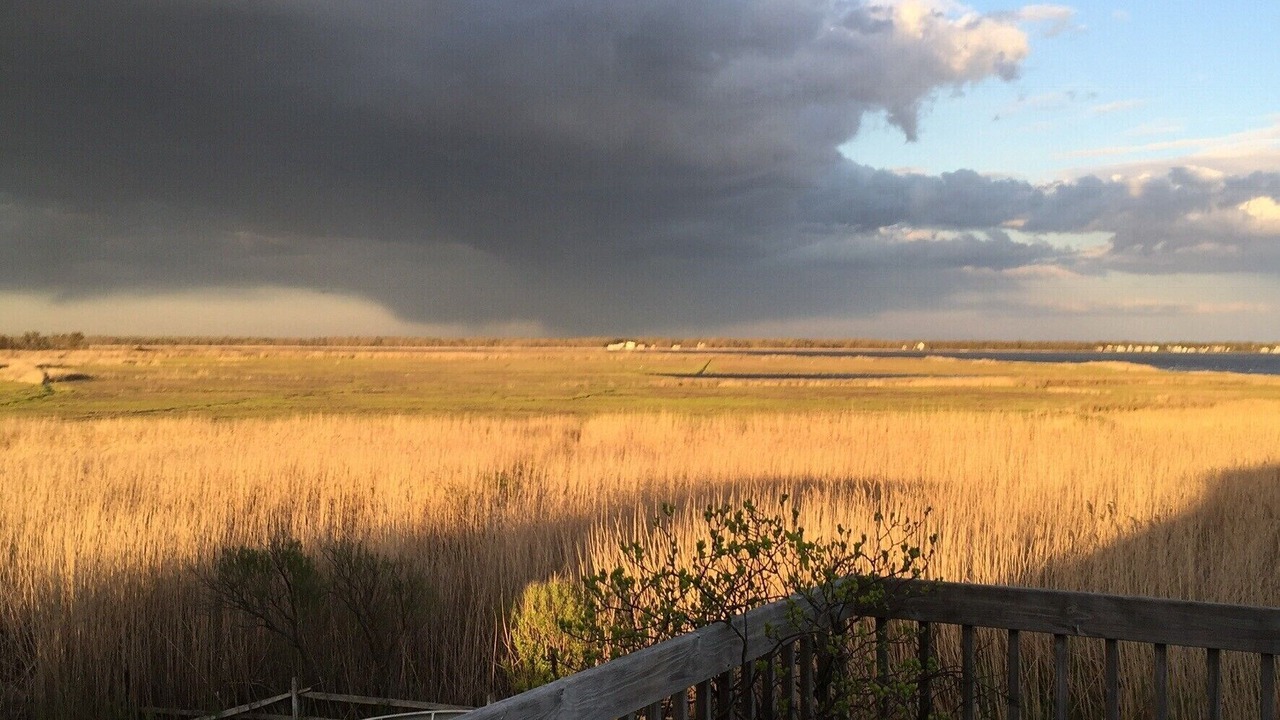 Photo of Outdoor in Brookhaven