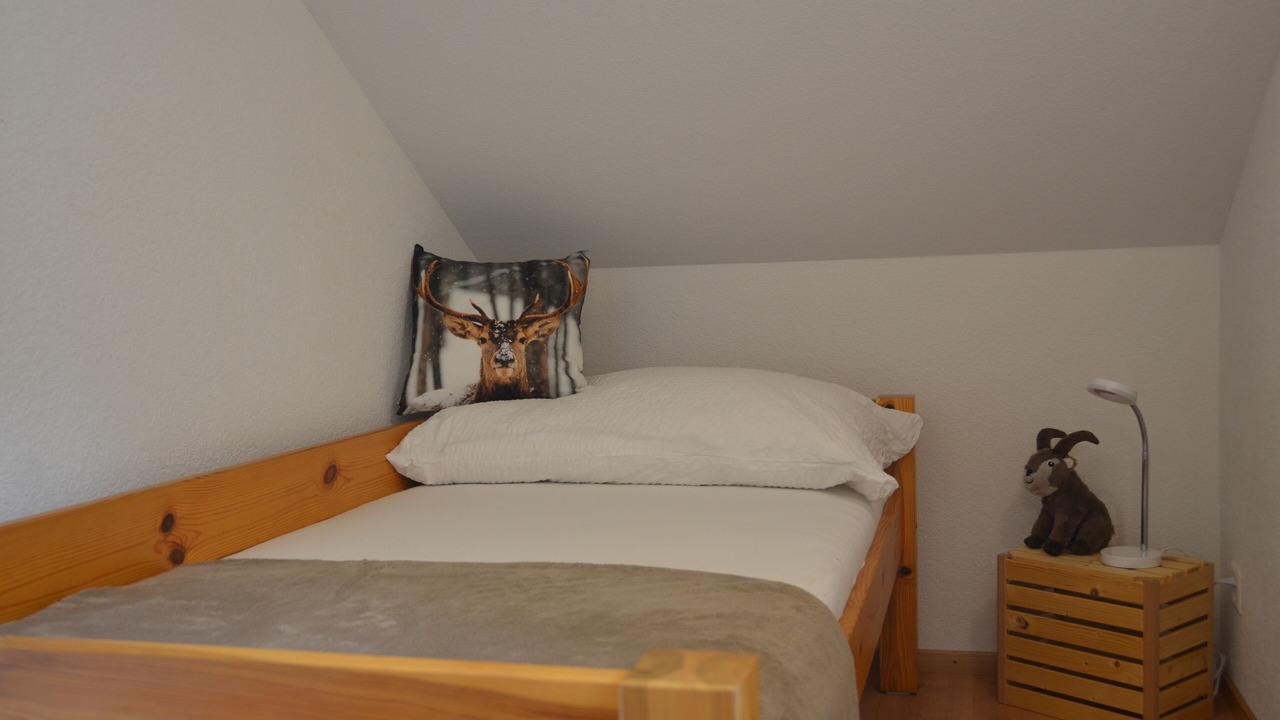 Photo of Bedroom in Grindelwald