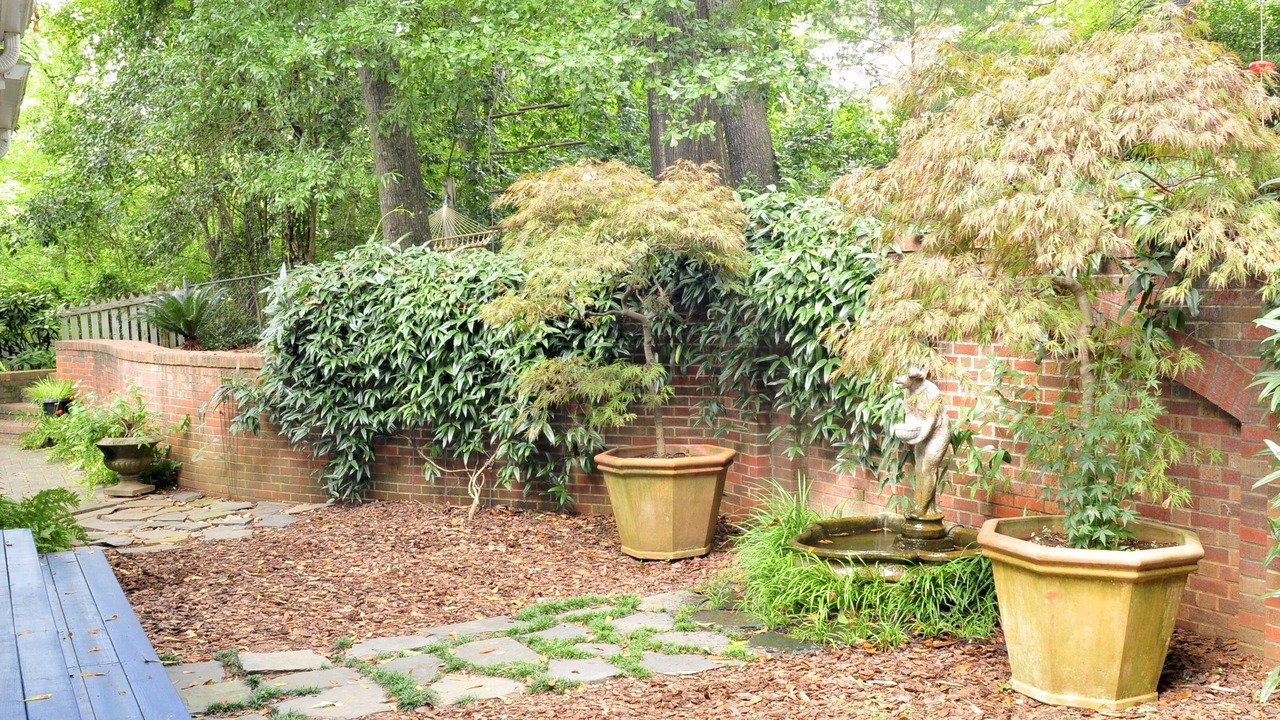 Photo of Outdoor in Athens