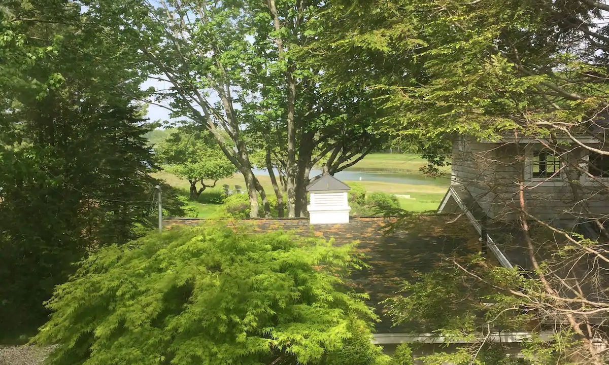 Photo of Outdoor in Cape Porpoise